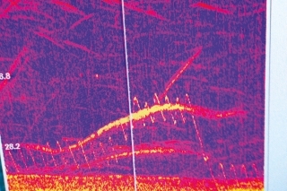 Aktívny sumec pri zobrazení 200 kHz.