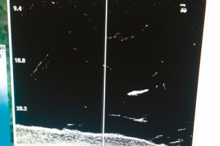 Aktívny sumec pri zobrazení 800 kHz.