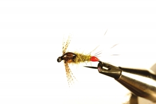 Hot Spot Mayfly