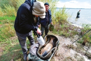 Že by čakanie na odpoveď?