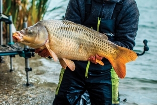 Method feeder, Úvod 5