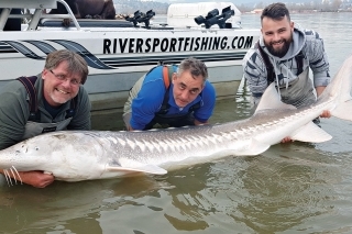Rekord zájazdu jeseter biely 252 cm.