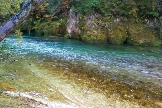 Tyrkysová voda v prielome pod Bohinjskou Belou.