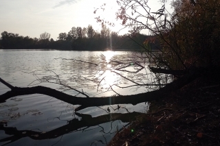 Miesto činu, ideálne miesto pre dravce.