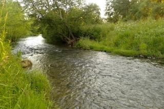 Jelešňa.