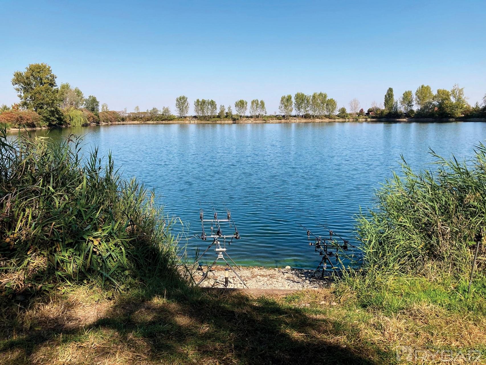 Farebné kapry - KoiLand Lake 7
