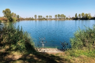 Farebné kapry - KoiLand Lake