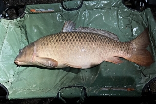 Prvý kapor v prvú noc – 23 kg.