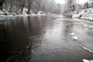 Drina v mraze.