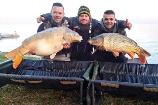16,33 kg a 7,15 kg.