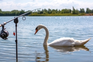 „Spoločník“, ktorý ma pravidelne navštevoval.