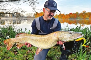 Šťuka v slovenských podmienkach dorastá do 15 kg a 120 cm.