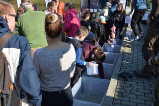 Vráťme ryby do vody, druhé kolo 11