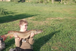 46