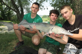 Vydry z rybárskej školy 16