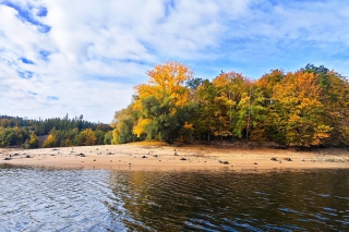 Lov boleňa na priehradách