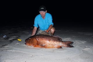 Chniapač - red snapper - 20 kg - nočný úlovok.