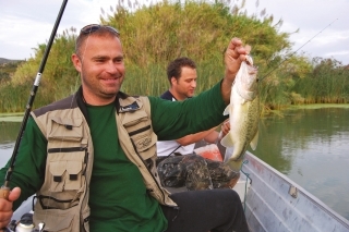 Black bassy jednoducho išli.