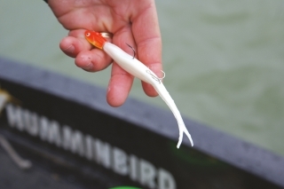 Rovnakým spôsobom môžete nastražiť aj iné gumené nástrahy. 
V tomto prípade sme použili Gulp Alive Minnow so zarovnanou jigovou hlavou.