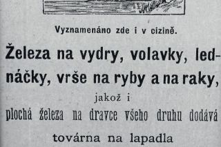 Kedysi sa  vydry,  kormorány,  volavky...lovili a ich úlovky boli
 dokonca oceňované. Dnes prevláda druhý extrém.