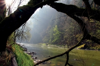 Orava v Dierovej, jedna z najkrajších  hlavádkových vôd, kde našla výborné životné podmienky aj vydra riečna.