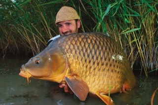 Nádherný maďarský šupináč zdolaný z veľkej diaľky.