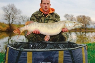 O pár dní sa kamarátovi Lacovi podarilo v Abovciach uloviť aj túto 9 kg metrovicu.