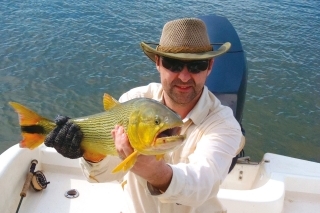 Pavlovo dorado dĺžky 60 cm.