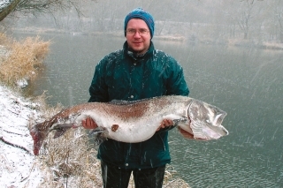 Možno raz budeme aj na Dunaji loviť takéto torfejné hlavátky.