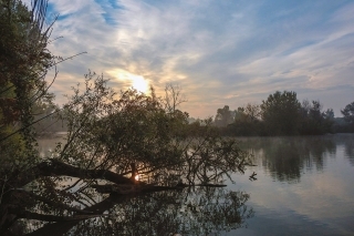 Sen s názvom WILD LAKE 3