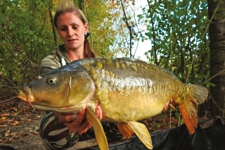 Sen s názvom WILD LAKE 8