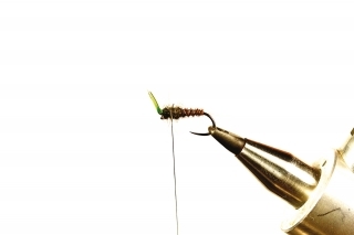 7. Na niť pridáme tmavý dabing a prekrúžkujeme celú oblasť hlavohrude.