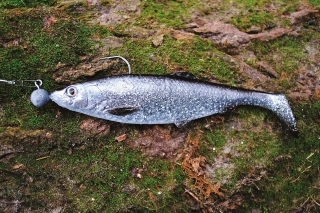 Herring Shad - dlhá, štíhla nástraha s výraznou "bambuľou" na konci tela je na veľké zubáče to pravé.