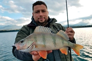 Roman s úlovkom ostrieža. Na Mare pomaly rarita.