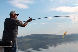 Fred skúšal veľké 20 cm gumy G´Bump a Martin spinnerbaity. Prehádzali sme dlhý úsek pozdĺž brehu, ale okrem jednej malej šťučky nič nezaútočilo na naše nástrahy. Miňo chytil hneď ráno 3 šťuky od 60 do 72 na 12-metrovej vode, zrejme sa už stiahli na hlbšiu vodu.