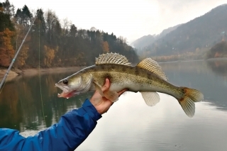 Krátko, ale úspešne 3