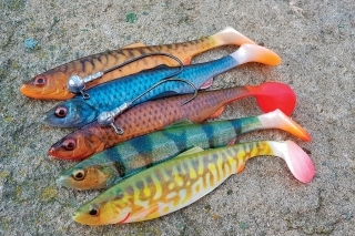 Herring Shad je vynikajúca nástraha na lov s ľahkou hlavičkou, umožňuje pomalý kývavý pohyb nástrahy.