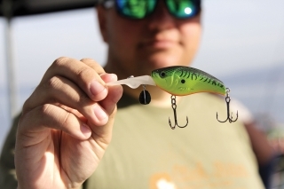 Nový crankbait Slattern 65F (floating). Má dlhú lopatku aby sa dostal rýchlo ku dnu. Vobler má tenké telo. Ďalšou vychytávkou je, že sa nepotápa len do 3,5 m, ale môžete zväčšiť hĺbku ponoru vďaka krúžku pod lopatkou kam môžete umiestniť extra závažie.