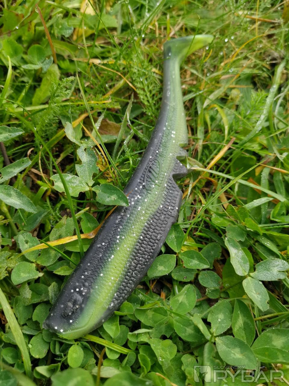 Úspešná nástraha 
Racker shad.