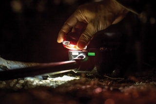 Glow pásku stačí pár sekúnd „nabiť“.