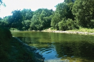 Vzdutie nad Oravskou priehradou. Miesto veľkých dravcov.