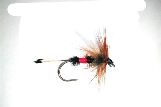 Royal Coachman