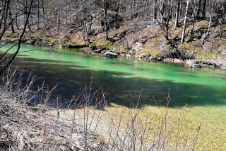 Rieka Sava Bohinjka.