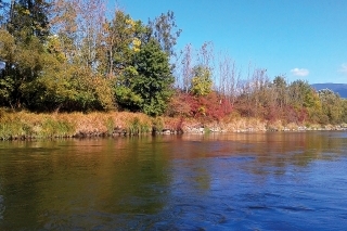 Jeseň na spodnom toku Oravy.