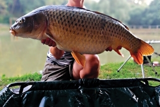 V ten deň som prišla skromne 
s malým podberákom, no 10,6 kg vyrazilo dych aj skúseným.