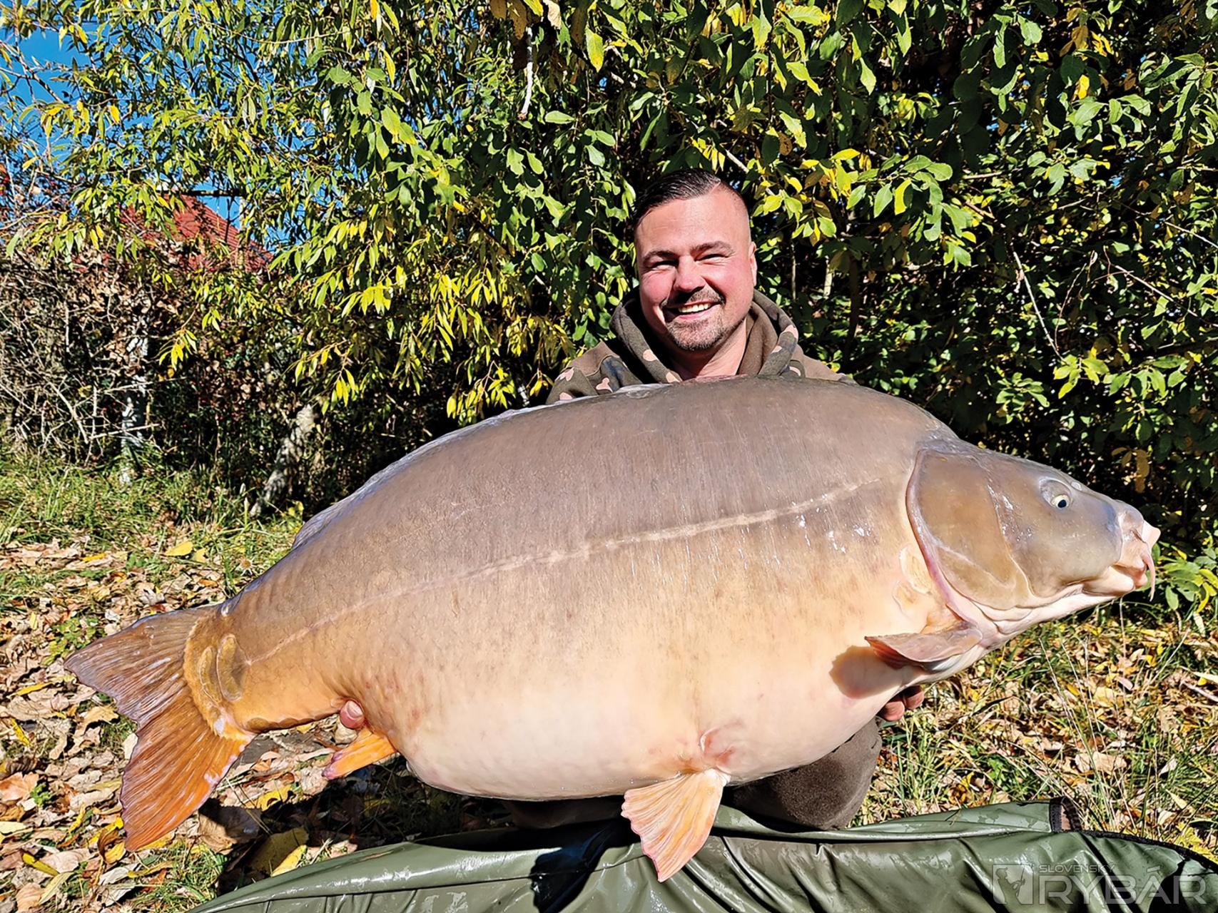 Nádherný mohutný maďarský lysec s hmotnosťou 27,70 kg. Zabral na obed. (Poledňáček)