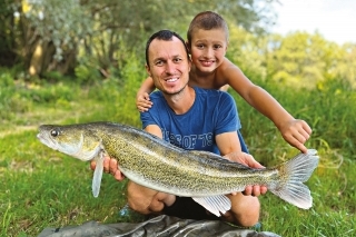 Parádny zubáč, ulovený systémom method feeder.
