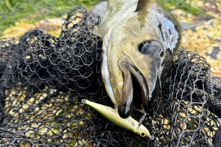 Isle of Skye – cesta na sever Škótska 9