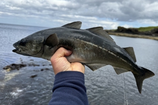 Isle of Skye – cesta na sever Škótska 10