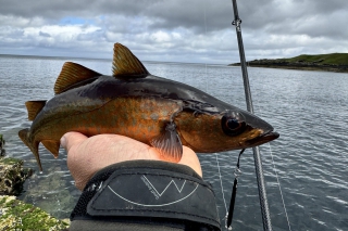 Isle of Skye – cesta na sever Škótska 11